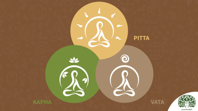 Ayurveda & 3 Principle Energies Of the Body