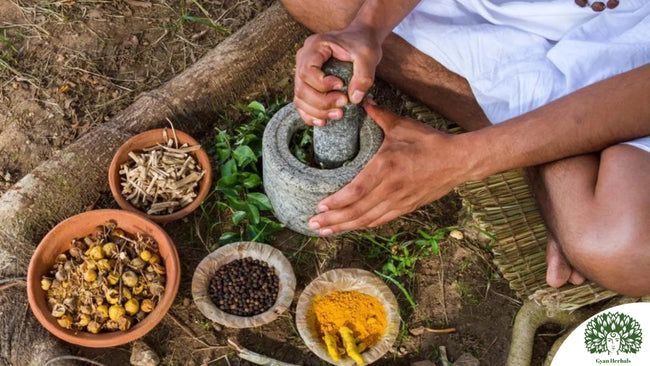 3 Reasons Why You Should Choose Ayurveda